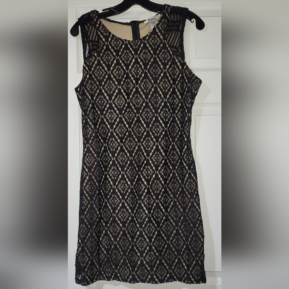 C Sz L lace dress Pinky #14